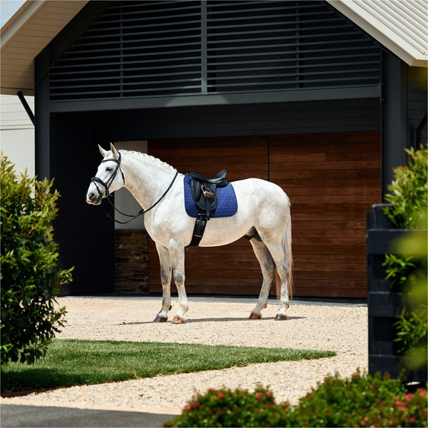 2026 WeatherBeeta Suede Elite Air-Tec Dressage Saddle Pad 1030346 - Navy
